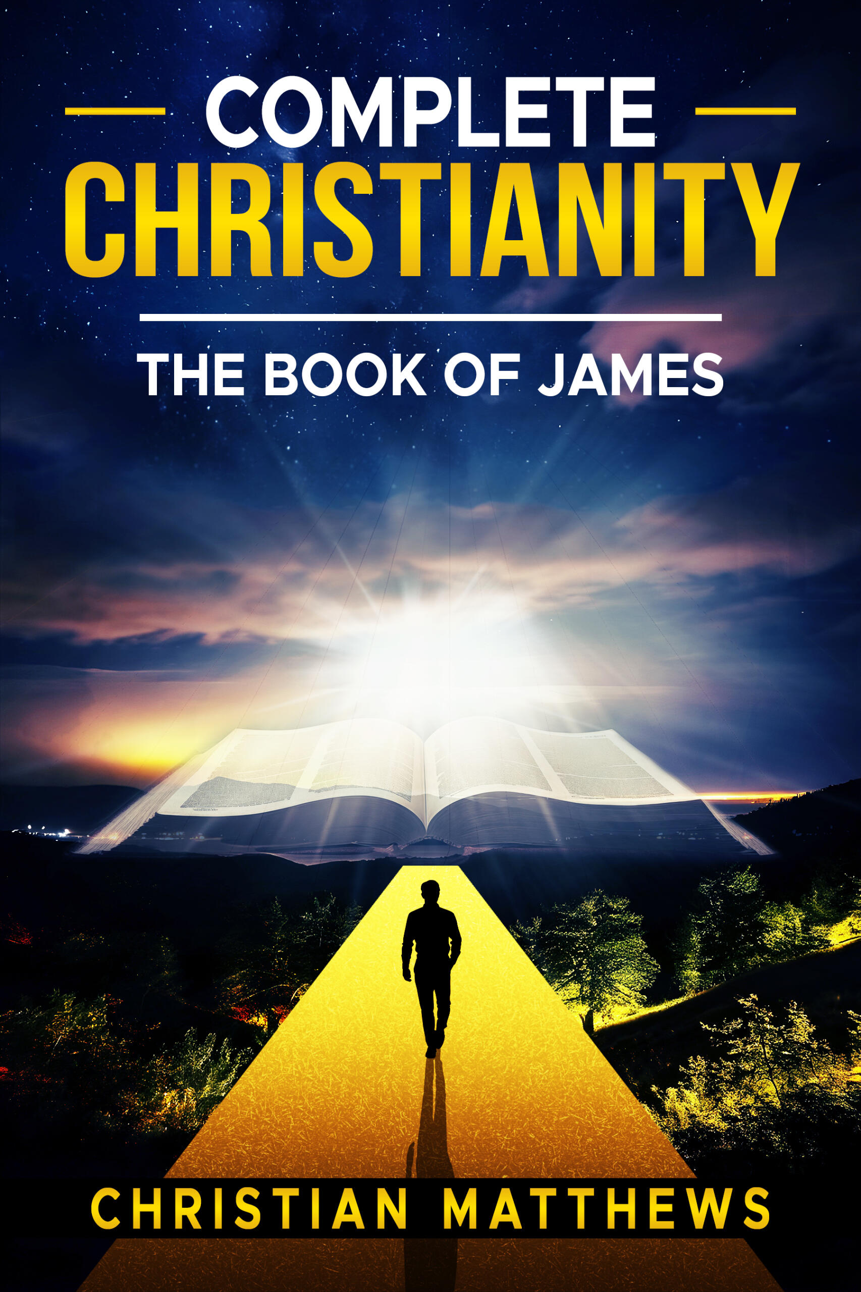 Loving Beyond Limits Book